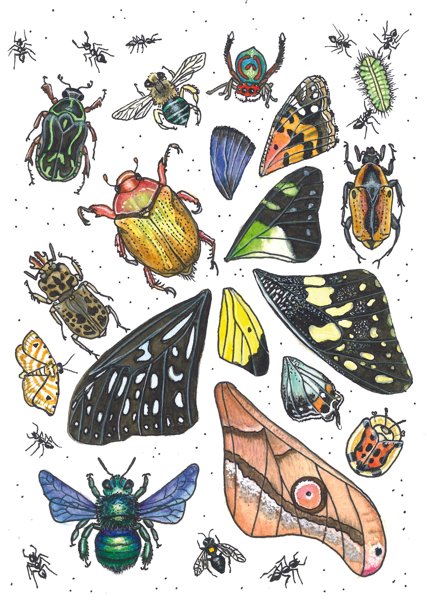 Insects Watercolour Gift Card